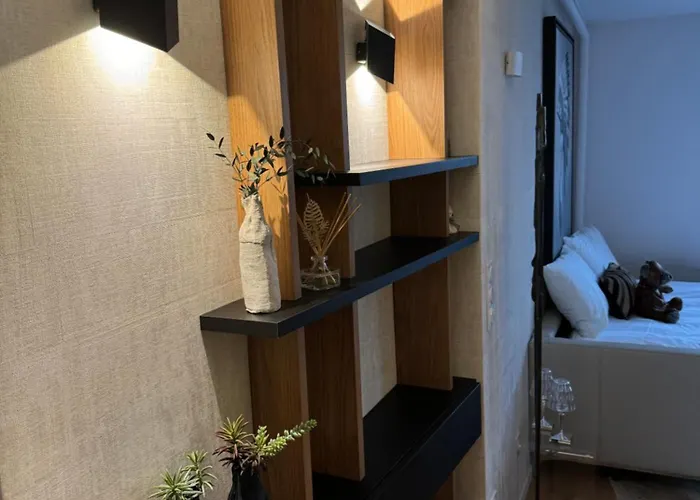 Appartement Vue Tour Eiffel 16 Eme